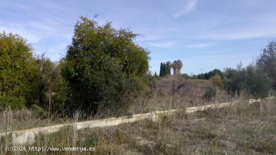 SE VENDE PARCELA RÚSTICA EN EL LLANO DE MOLINA - MURCIA