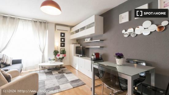 Apartamento entero de 1 habitaciones en Madrid - MADRID