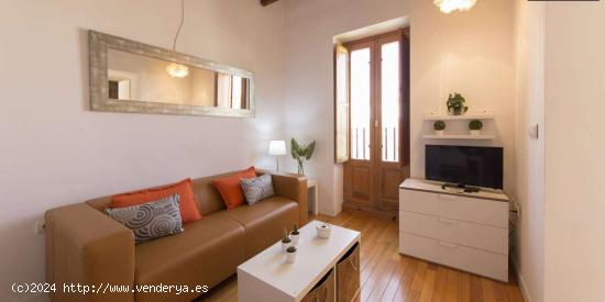 Apartamento entero de 1 habitaciones en Madrid - MADRID