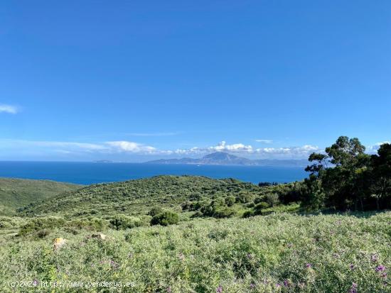 Finca con vistas al Estrecho - CADIZ