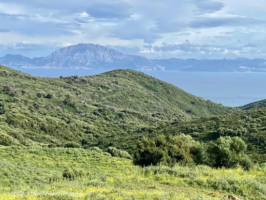 Finca con vistas al Estrecho - CADIZ