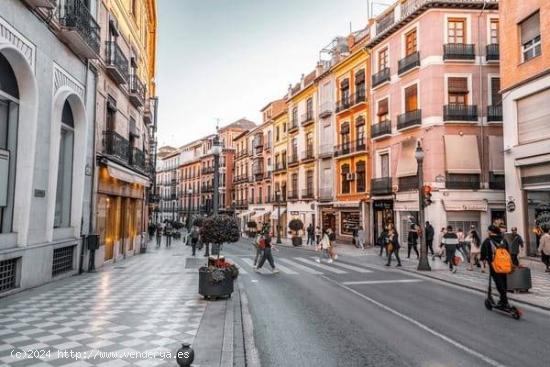 LT / Piso de DOS dormitorios en Granada CENTRO - GRANADA