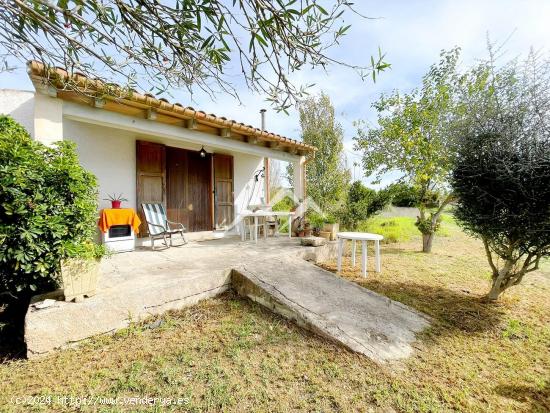 Bonita finca rústica con casita de aperos en Sant Joan - BALEARES