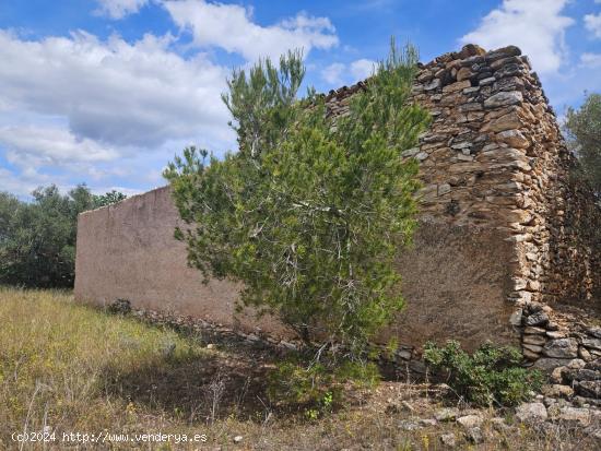  Finca Rústica en Rasquera - TARRAGONA 