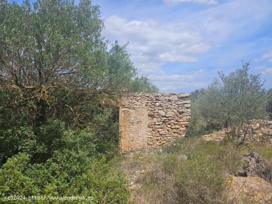 Finca Rústica en Rasquera - TARRAGONA