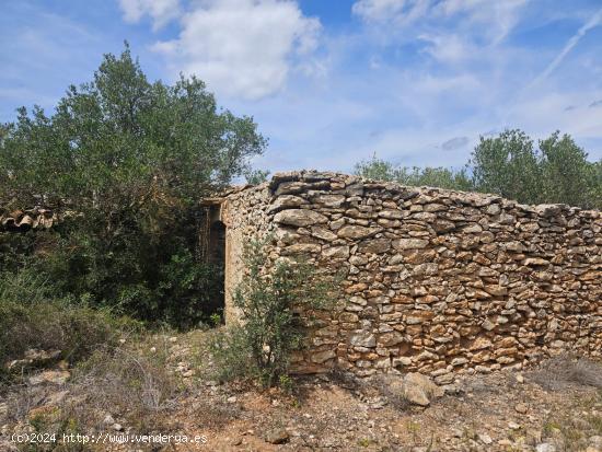 Finca Rústica en Rasquera - TARRAGONA