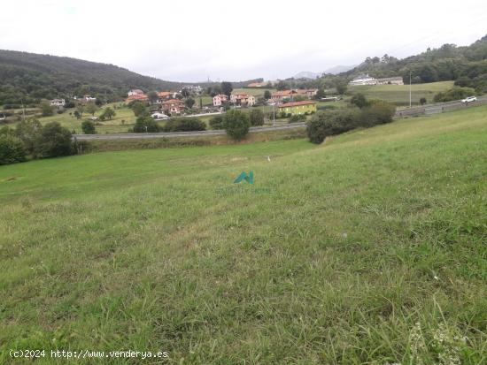 Se Vende Terreno Urbano en Ambrosero - CANTABRIA