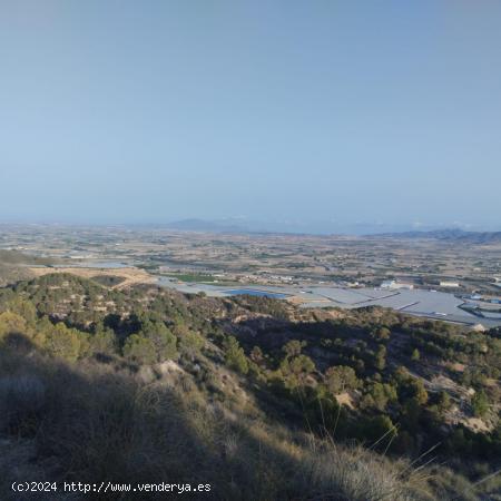 Terreno en Monte Natural con Coto de Caza - Totana - MURCIA