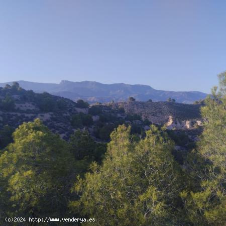 Terreno en Monte Natural con Coto de Caza - Totana - MURCIA