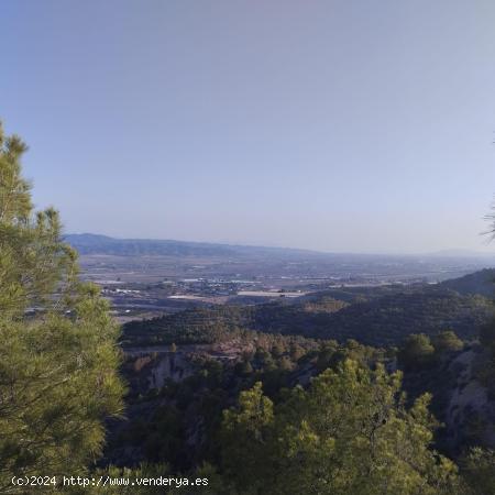 Terreno en Monte Natural con Coto de Caza - Totana - MURCIA