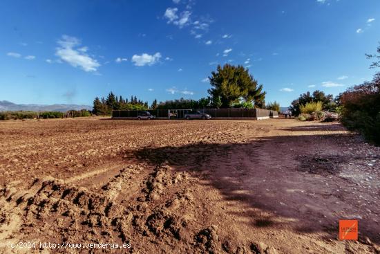 FINCA RUSTICA CON CASA EN VENTA EN SANTA BARBARA (TARRAGONA) - TARRAGONA