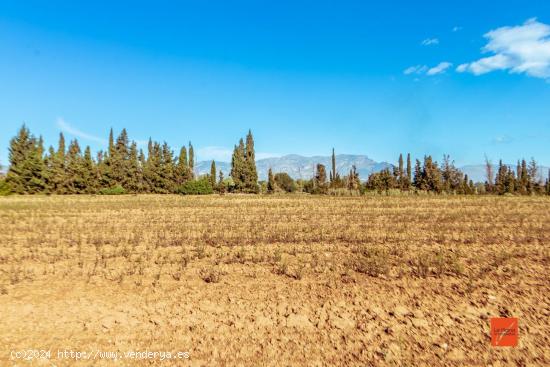 FINCA RUSTICA CON CASA EN VENTA EN SANTA BARBARA (TARRAGONA) - TARRAGONA