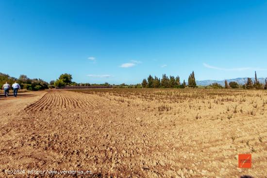 FINCA RUSTICA CON CASA EN VENTA EN SANTA BARBARA (TARRAGONA) - TARRAGONA