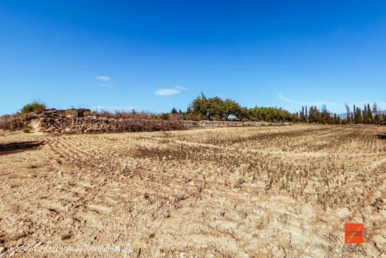 FINCA RUSTICA CON CASA EN VENTA EN SANTA BARBARA (TARRAGONA) - TARRAGONA