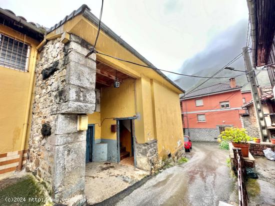 CASA DE PIEDRA CON CUADRA EN FELECHOSA - ASTURIAS