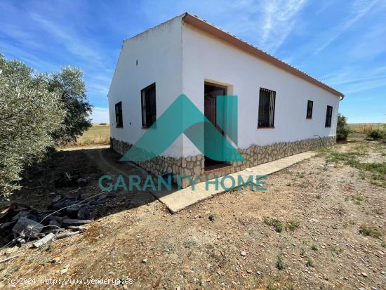  SE VENDE FINCA CON CASA DE CAMPO EN TORREORGAZ - CACERES 