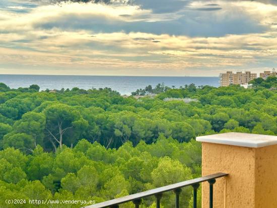 DUPLEX  CON VISTAS AL MAR  DE 3 DORMITORIOS 2 BAÑOS EN CAMPO AMOR ( ORIHUELA COSTA) - ALICANTE