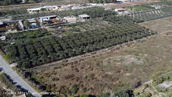 VENTA DE TERRENO RÚSTICO 9700 M2,  CON OLIVOS EN PRODUCCIÓN Y AGUA EN VILLALOBOS , HUERCAL DE ALME