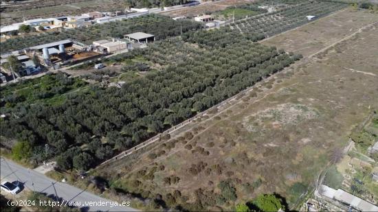 VENTA DE TERRENO RÚSTICO 9700 M2,  CON OLIVOS EN PRODUCCIÓN Y AGUA EN VILLALOBOS , HUERCAL DE ALME