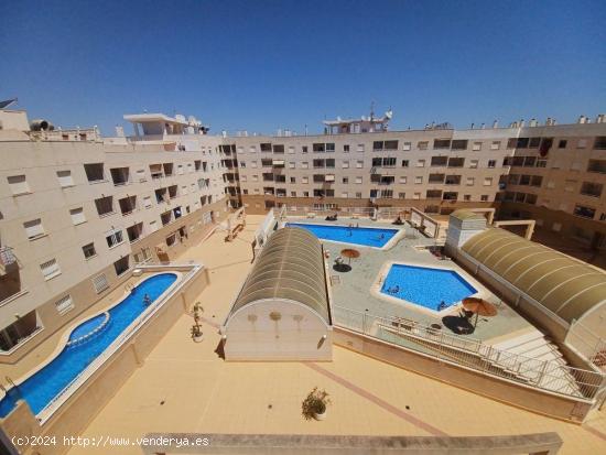  APARTAMENTO EN TORREVIEJA - ALICANTE 