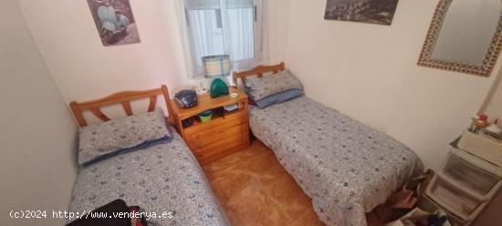 APARTAMENTO EN TORREVIEJA - ALICANTE