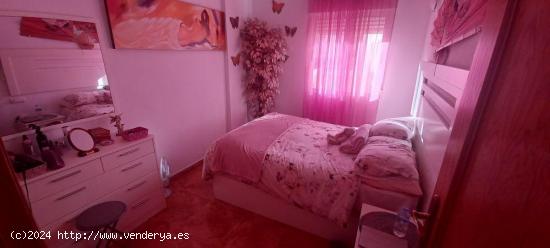 APARTAMENTO EN TORREVIEJA - ALICANTE