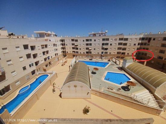 APARTAMENTO EN TORREVIEJA - ALICANTE