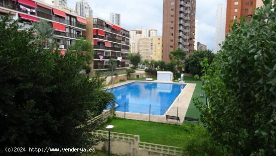 Reformado dúplex en zona Rincon de Loix cerca de playa Levante. - ALICANTE