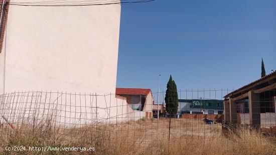 VENTA DE SOLAR EN MOLINA DE SEGURA - MURCIA