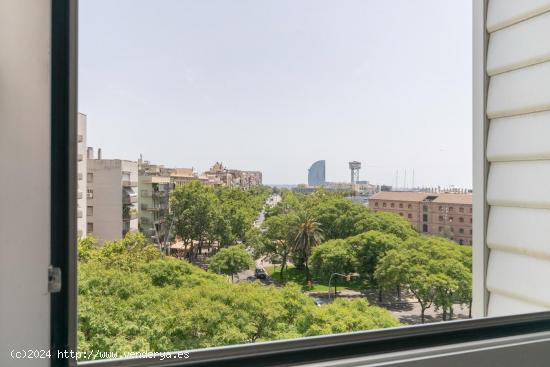 Luminoso apartamento disponible alquiler temporal en Barceloneta!!! - BARCELONA