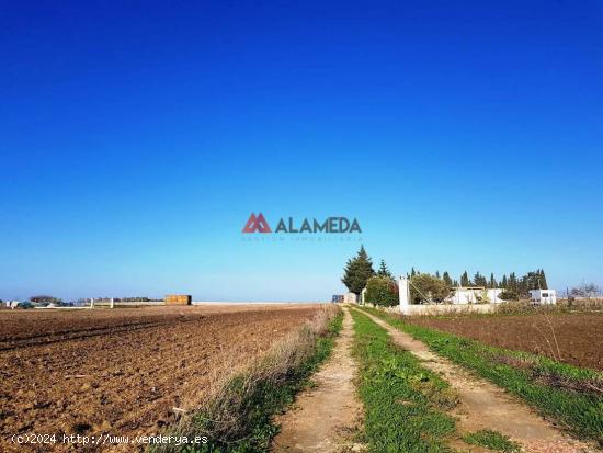 Parcela Segregada Miralamar - CADIZ