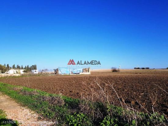 Parcela Segregada Miralamar - CADIZ