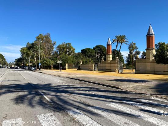  ESPECTACULAR Y AMPLIO PISO EN UBICACIÓN INMEJORABLE,  AVENIDA ALVARO DOMECQ EN JEREZ DE LA FRONTERA 