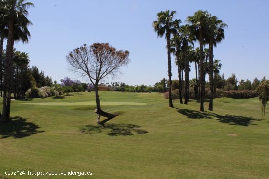 Real Club de Gof de Monte quinto. - SEVILLA