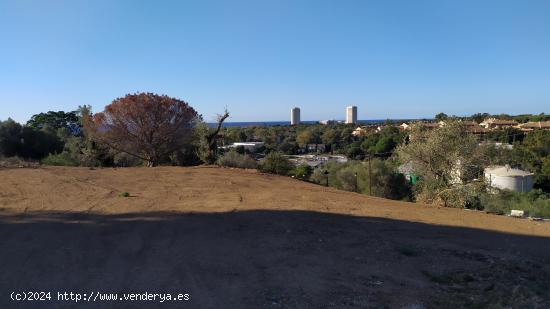 Estupendo terreno en Elviria, calificado como urba... - MALAGA