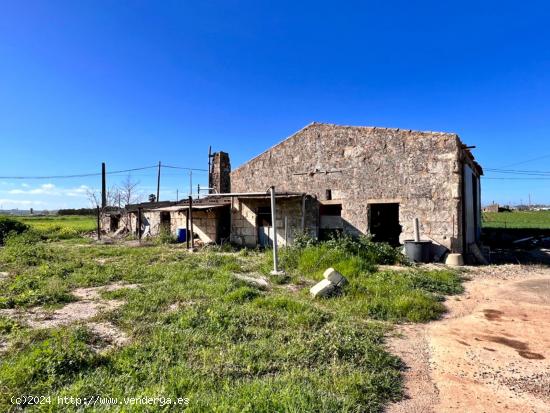  Finca Rustica Sa Pobla - BALEARES 