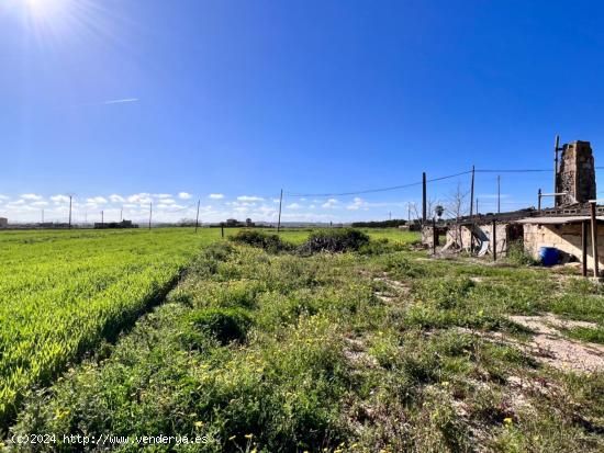 Finca Rustica Sa Pobla - BALEARES