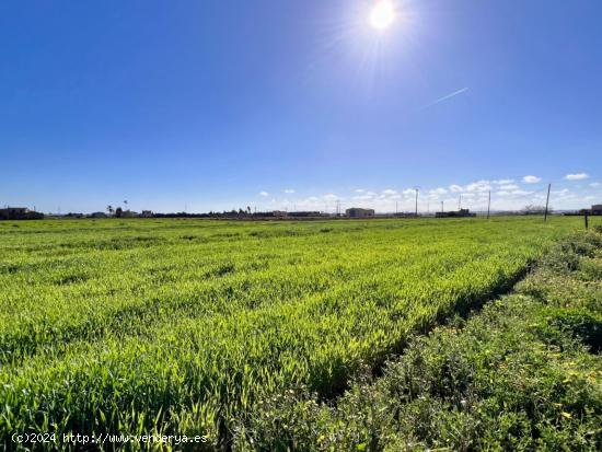 Finca Rustica Sa Pobla - BALEARES