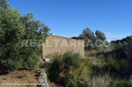 TERRENO AGRARIO EN VENTA EN RIUDECANYES - TARRAGONA