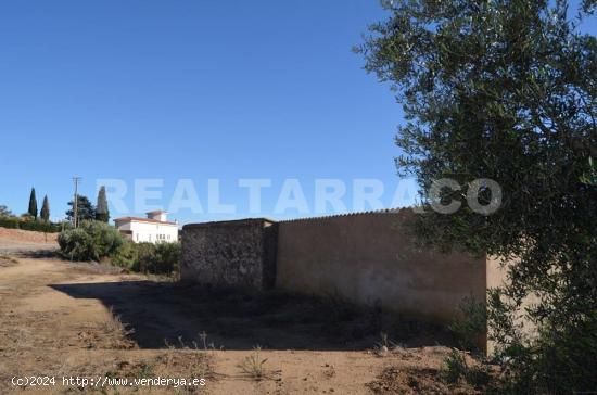 TERRENO AGRARIO EN VENTA EN RIUDECANYES - TARRAGONA