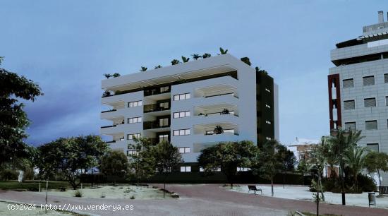 OPORTUNIDAD VIVIENDA CON AMPLIA TERRAZA, GYM Y  PISCINA CLIMATIZADA EN JUAN DE BORBON. - MURCIA