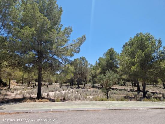 Parcela en Pinar del Rio, Tibi - ALICANTE