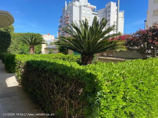  COQUETO APARTAMENTO EN EL CENTRO DE LA PLAYA DE GANDÍA - VALENCIA 