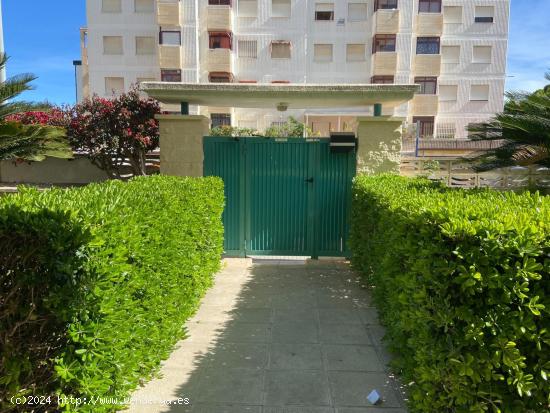 COQUETO APARTAMENTO EN EL CENTRO DE LA PLAYA DE GANDÍA - VALENCIA