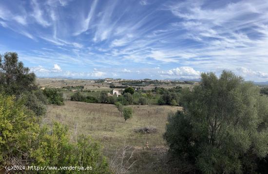 Casa de Campo a reformar con espectaculares vistas 360º - BALEARES