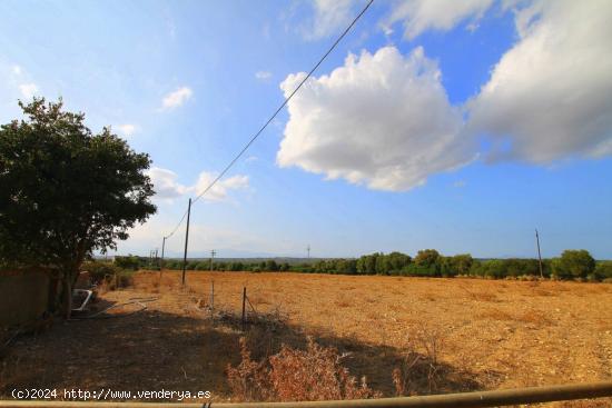 Terreno rústico en Ariany - BALEARES