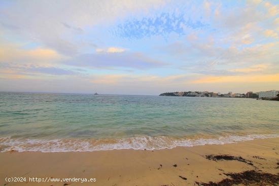 Gran local en Magaluf - BALEARES