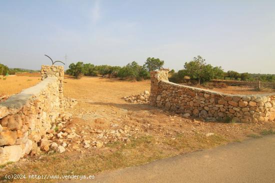 TERRENO EN MANACOR - BALEARES