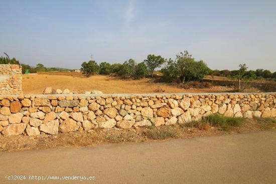 TERRENO EN MANACOR - BALEARES