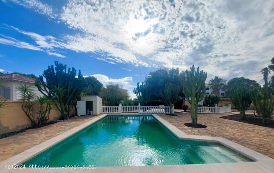 VILLA INDEPENDIENTE CON 1500 M2 DE PARCELA. 4 DORM. 2 BAÑOS. 300 M2 DE CASA. - ALICANTE